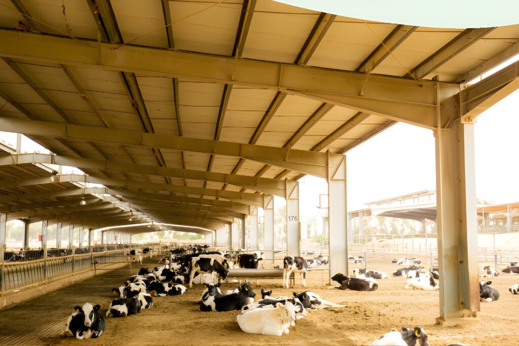 animal farms in dubai to visit