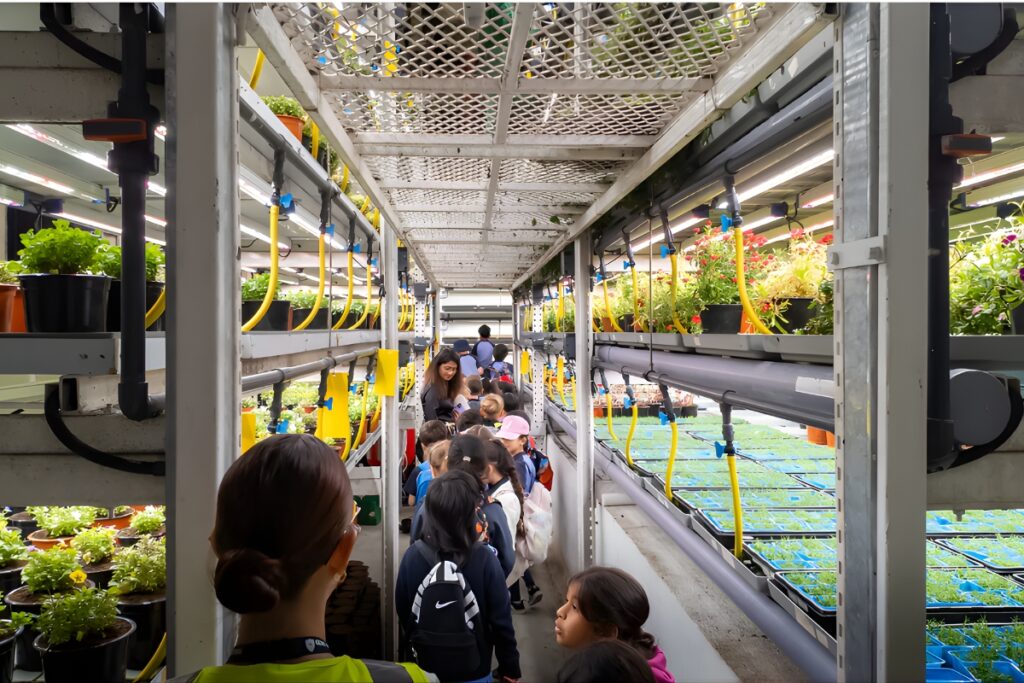 Farms in Dubai at UNS farms