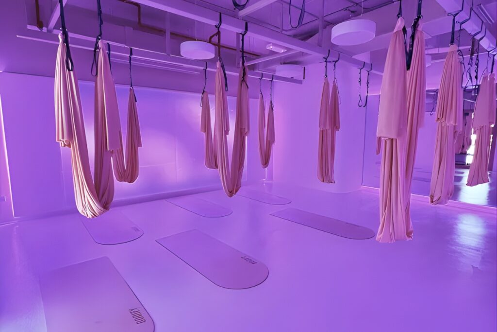 Bodify Ladies Fitness Club