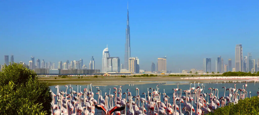 nature places in dubai
