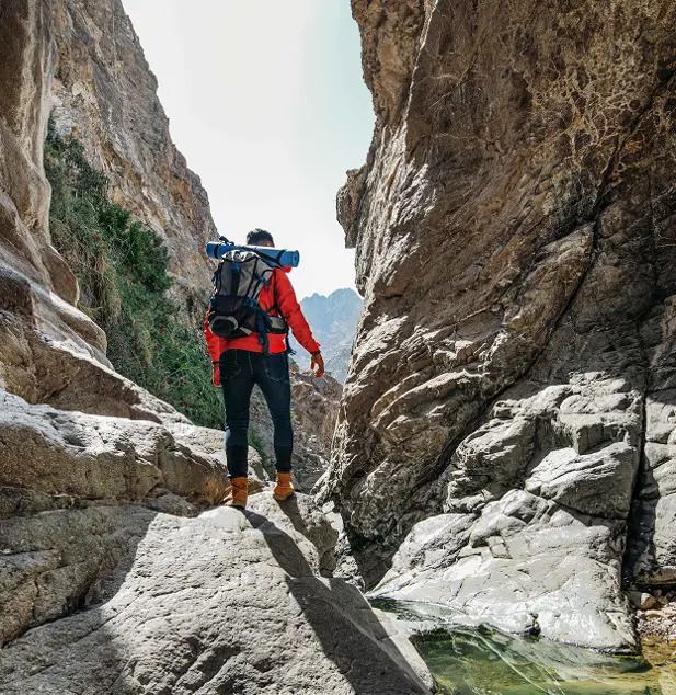 wildlife nature in Dubai