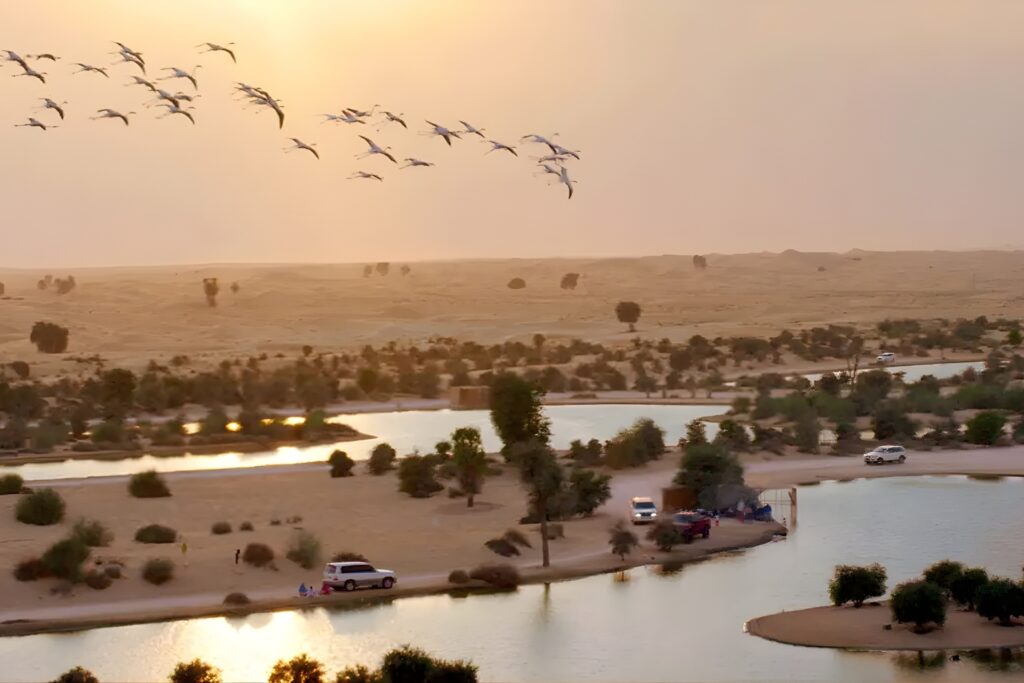 Walking in Dubai
