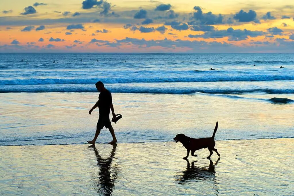 8 incredible dog walking spots in Dubai to visit this week