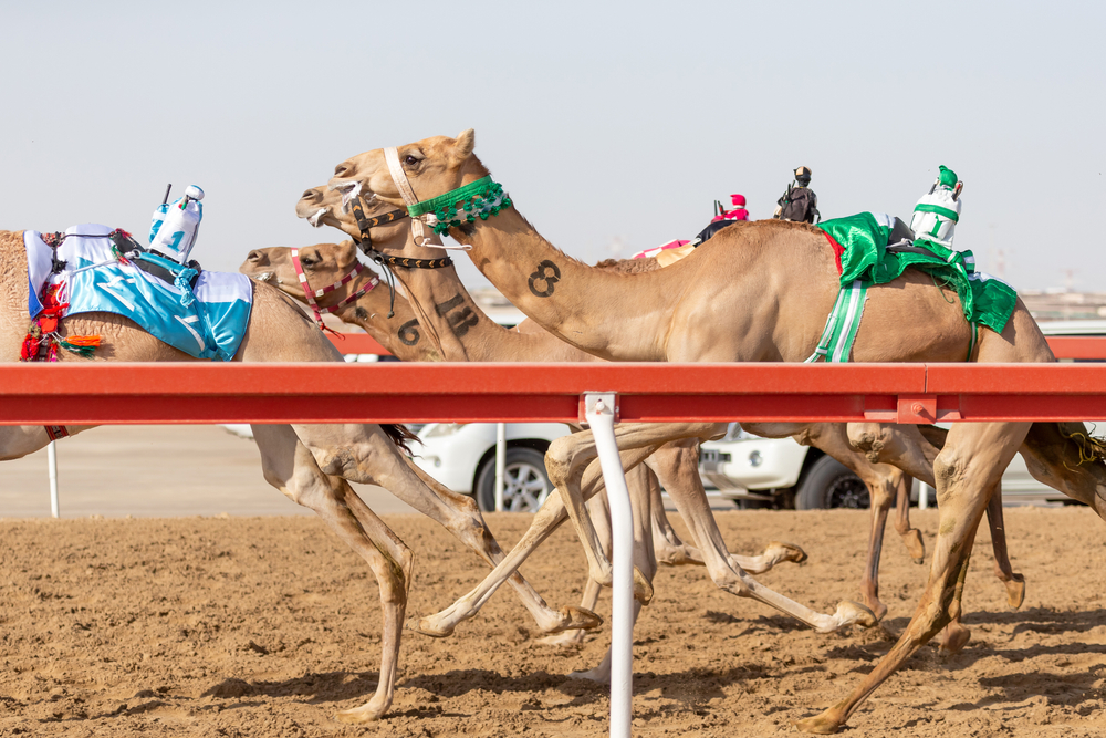 10 interesting facts about dubai,