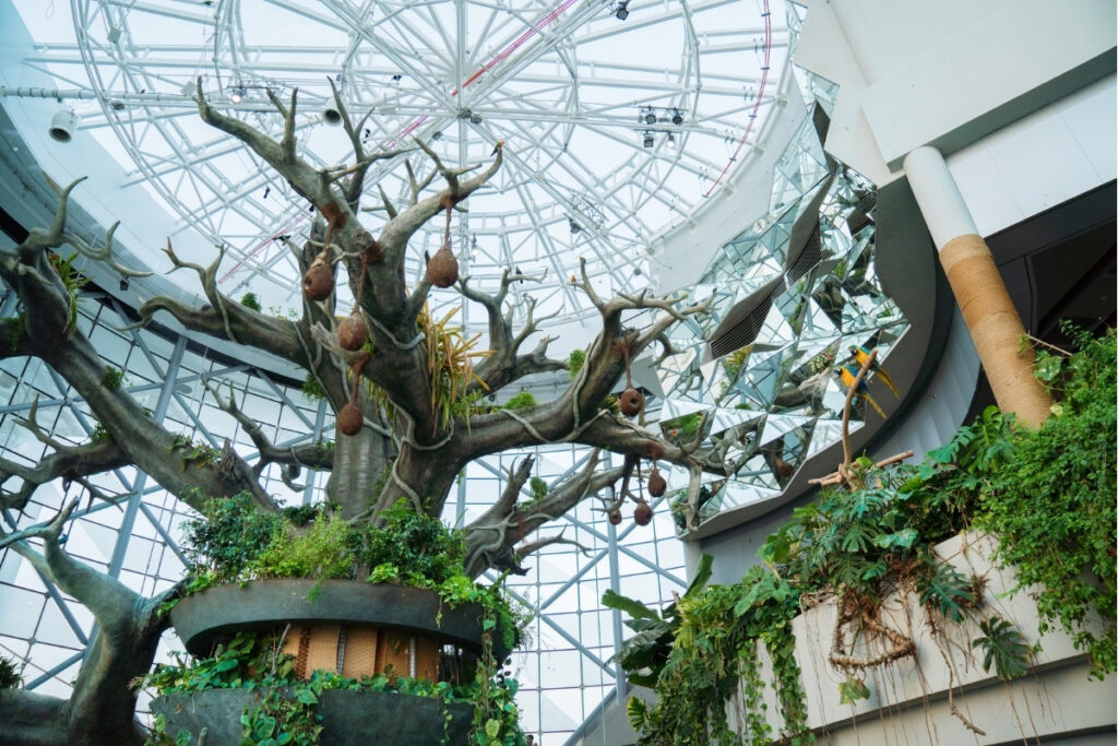 indoor activities to do in dubai