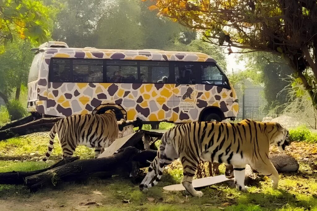 Dubai Safari Park family activities during Eid places to visit in dubai during eid holidays