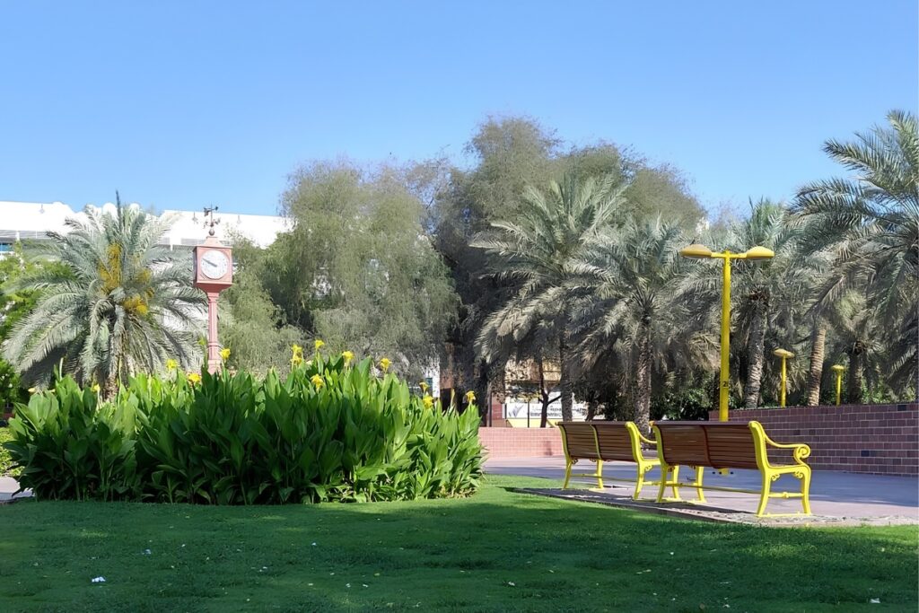 Karama Park gives visitors a glimpse into everyday community life in the area. Families gather here in the evenings, children play cricket, and residents come for walks after work.