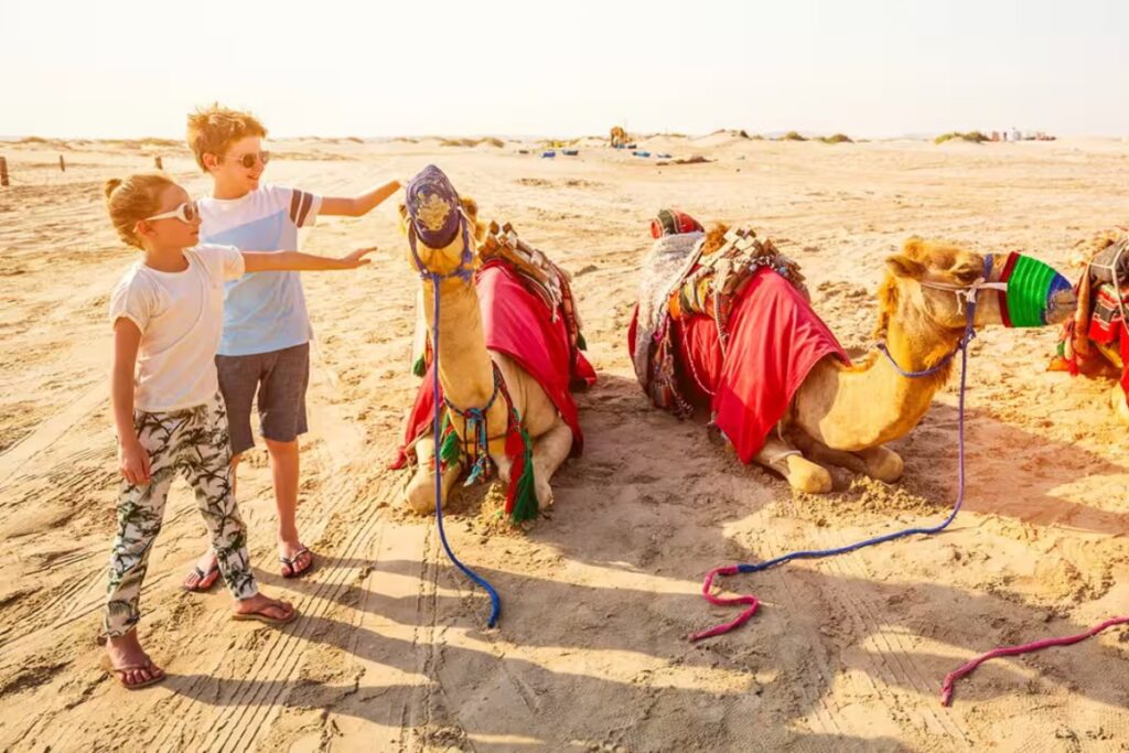 best activities in dubai Visitors interacting with camels at The Camel Farm Dubai