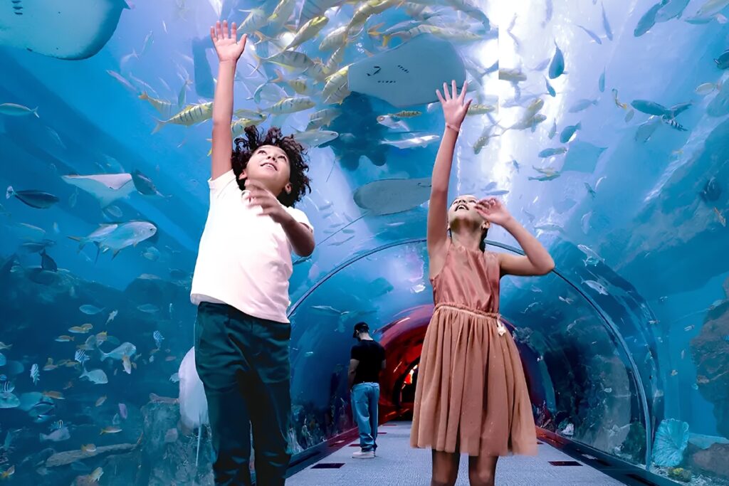Dubai Aquarium and Underwater Zoo inside Dubai Mall